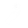 06 06
